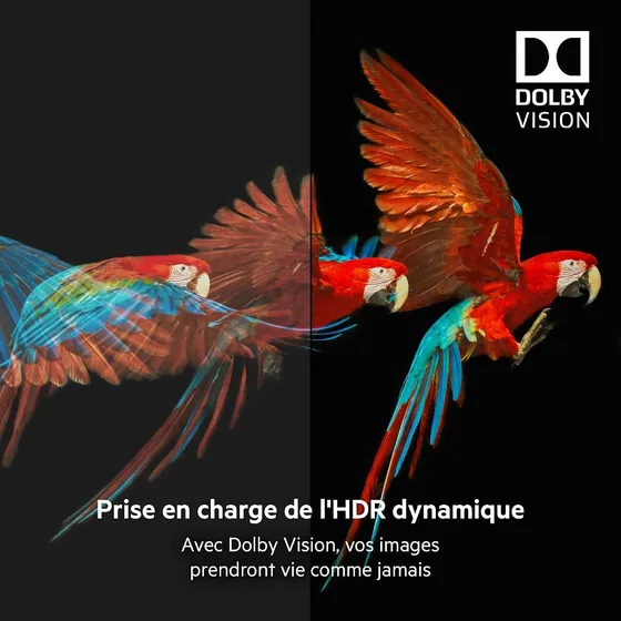 Câble HDMI 2.1 Belkin Ultra High Speed 4K, 2 m — vue 4
