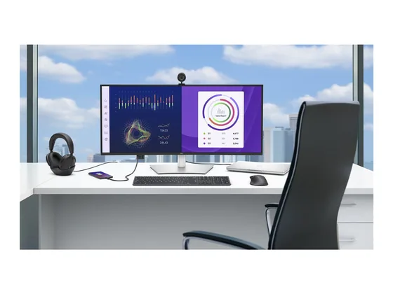 Dell Pro Plus P3425WE — écran 34,1″ incurvé — vue 2